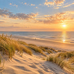 Afbeelding van zandduinen met helmgras, een leeg strand en de zee onder een gouden zonsondergang met een klein figuur.