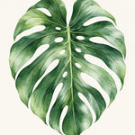 Aquarel van één groot groen monsterablad met inkepingen en gaten op een crèmekleurige achtergrond.
