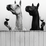Paarden met Pinot Noir Wanddecoratie – Sfeervolle Dieren Canvas Print