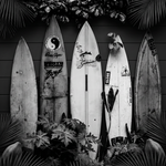 Zwartwater Surfclub wanddecoratie met sfeervolle surfclub aan donker water