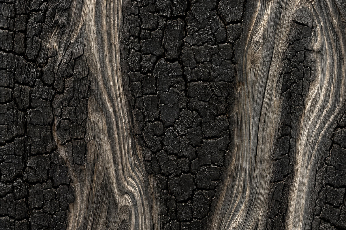 Close-up van verkoold hout met gebarsten zwarte houtskool en zilvergrijze nerf