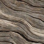 Close-up of weathered driftwood with rippling, split grain in grey-brown and sand