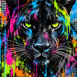 Neon Panter Streetart: een zwarte panter met felgroene ogen komt uit een muur van verfspatten